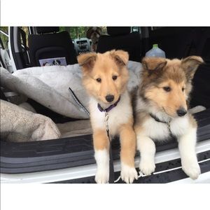 Meet your Posher, Kathy